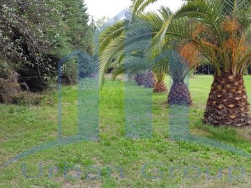 Imagen 16