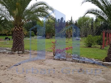Imagen 12