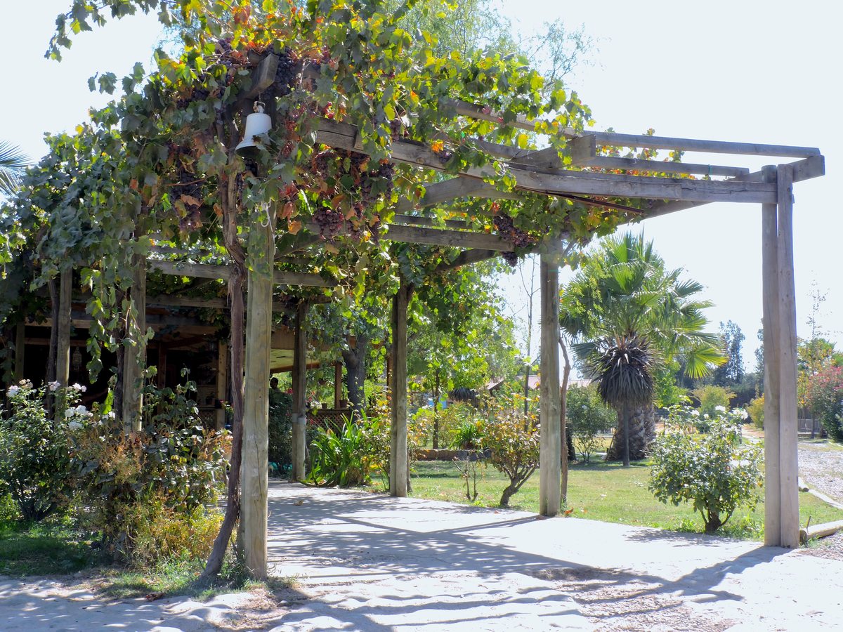Parrón