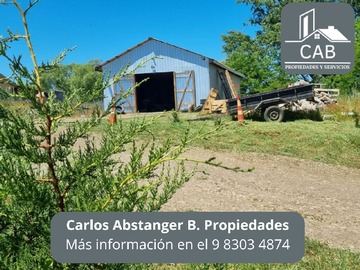 Imagen 4