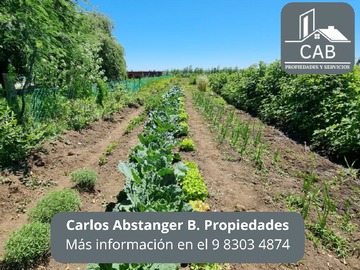 Imagen 5