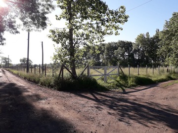 Imagen 12