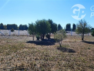 Imagen 8