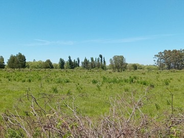 Venta / Parcela / Bulnes