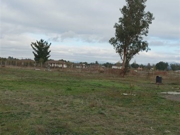 Imagen 6
