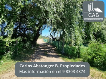 Imagen 6