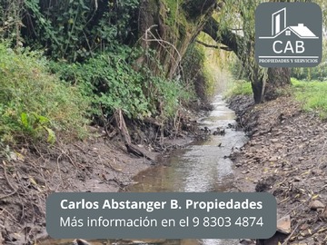 Imagen 14