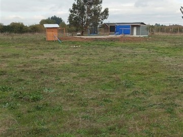 Imagen 5
