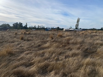 Venta / Parcela / Bulnes