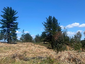 Venta / Parcela / Cabrero