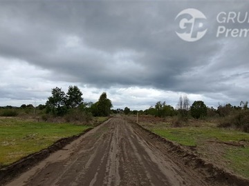 Imagen 6