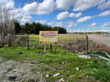 Imagen 7