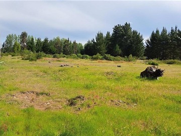 Venta / Parcela / Cabrero