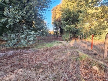 Venta / Parcela / Cabrero