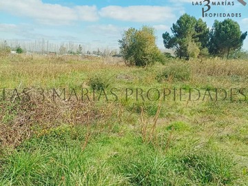 Imagen 9