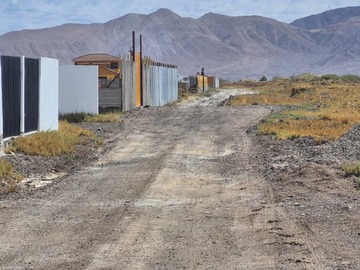 Imagen 8