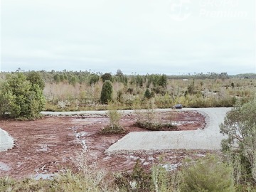 Imagen 11