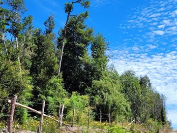 Venta / Parcela / Calbuco