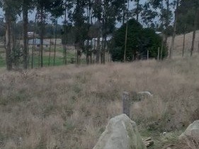 Imagen 4
