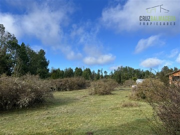 Imagen 8