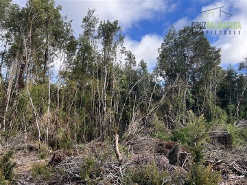 Imagen 11