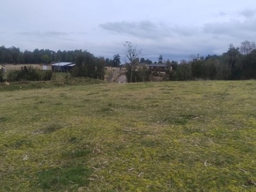 Imagen 7