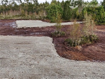 Imagen 6