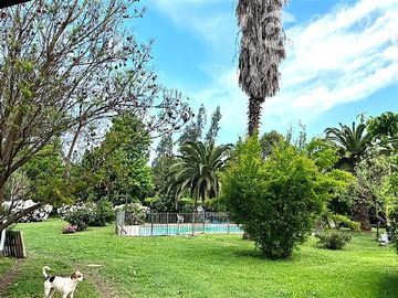 Imagen 12