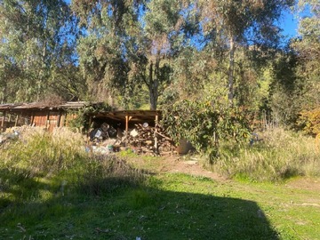 Imagen 6