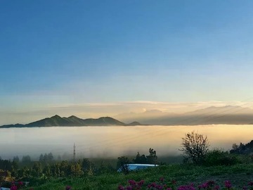 Venta / Parcela / Calera de Tango