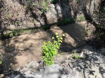 Imagen 7