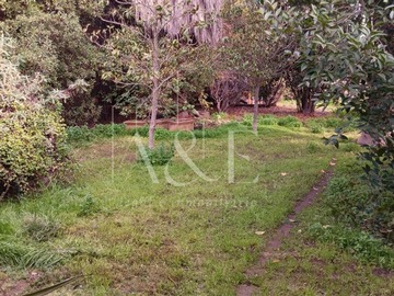 Imagen 29
