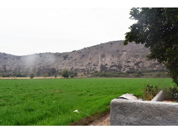 Imagen 6