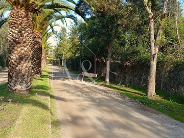 Imagen 32