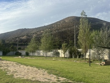 Imagen 19