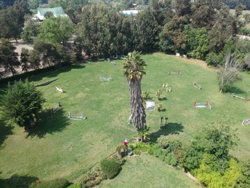 Imagen 12