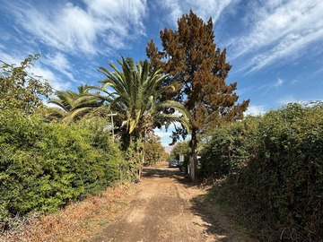 Venta / Parcela / Calera de Tango