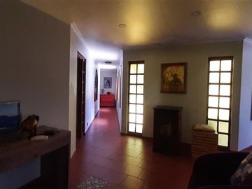Imagen 6