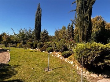 Imagen 7