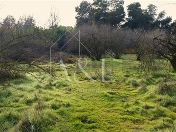 Imagen 28