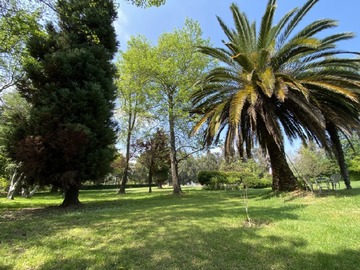 Imagen 18