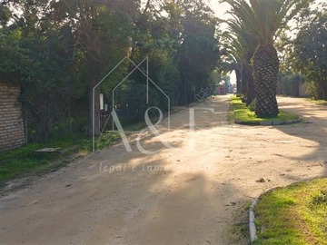 Imagen 31