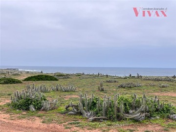 Imagen 4