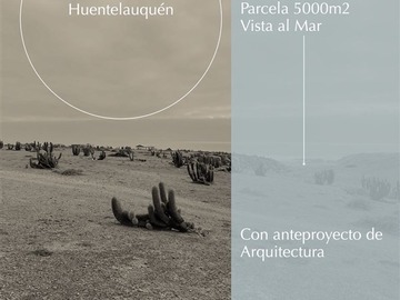 Venta / Parcela / Canela