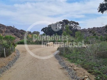 Venta / Parcela / Canela