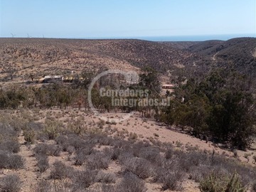Imagen 12