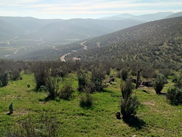 Venta / Parcela / Canela