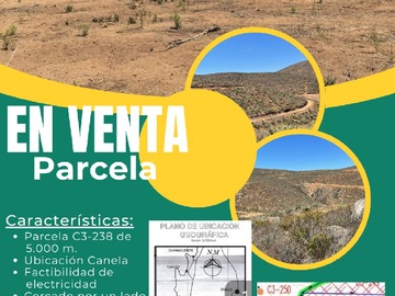 Venta / Parcela / Canela