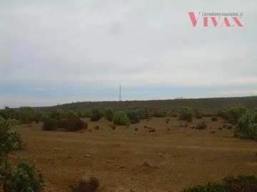 Imagen 5