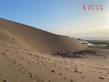Imagen 8